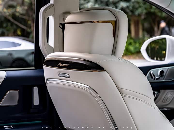 Фото 11 - Buick GL8 Century