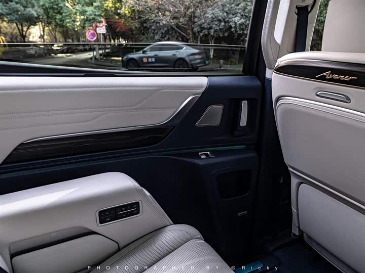 Фото 13 - Buick GL8 Century