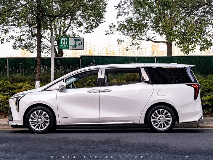 Фото 3 - Buick GL8 Century