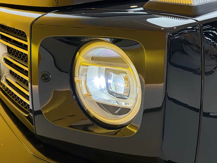 Фото 28 - Mercedes-Benz G-Class