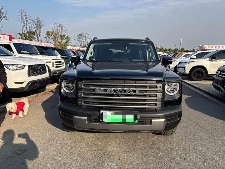Фото 2 - Haval Raptor Hybrid