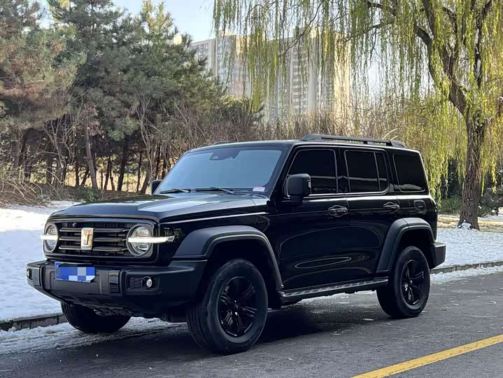 Фото 1 - Tank 300