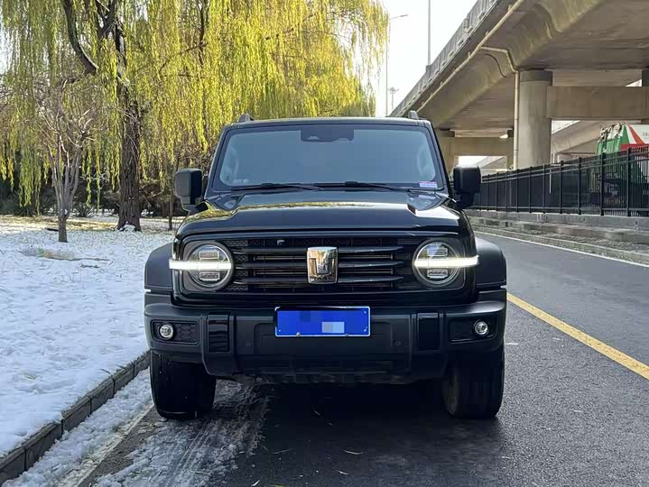 Фото 2 - Tank 300