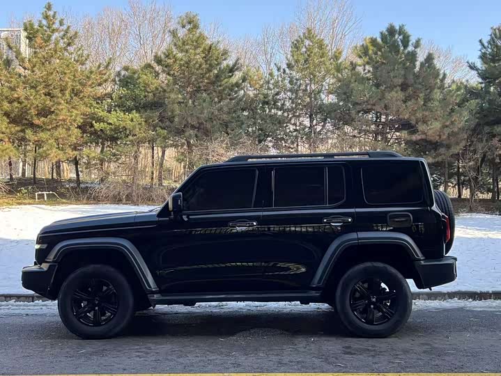 Фото 3 - Tank 300