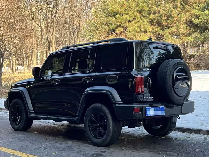 Фото 4 - Tank 300