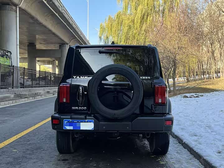 Фото 5 - Tank 300