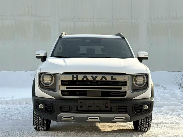 Фото 2 - Haval Dargo