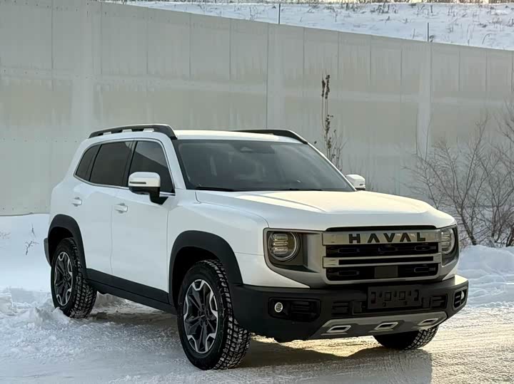 Фото 3 - Haval Dargo
