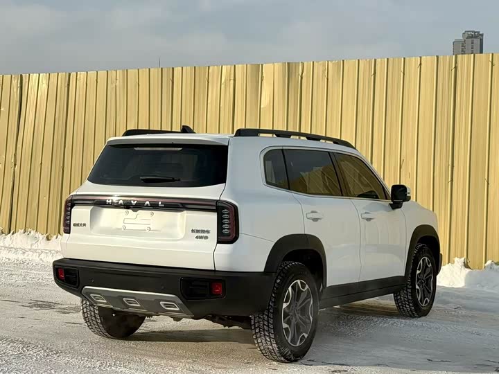 Фото 7 - Haval Dargo