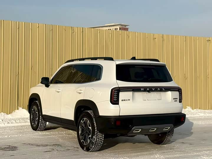 Фото 9 - Haval Dargo