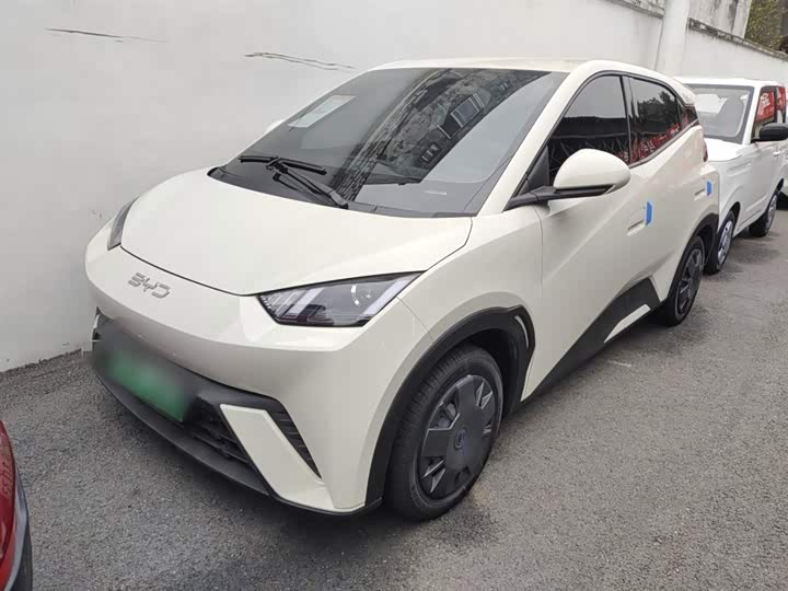 Фото 2 - BYD Seagull