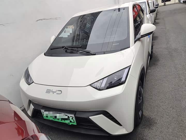 Фото 3 - BYD Seagull