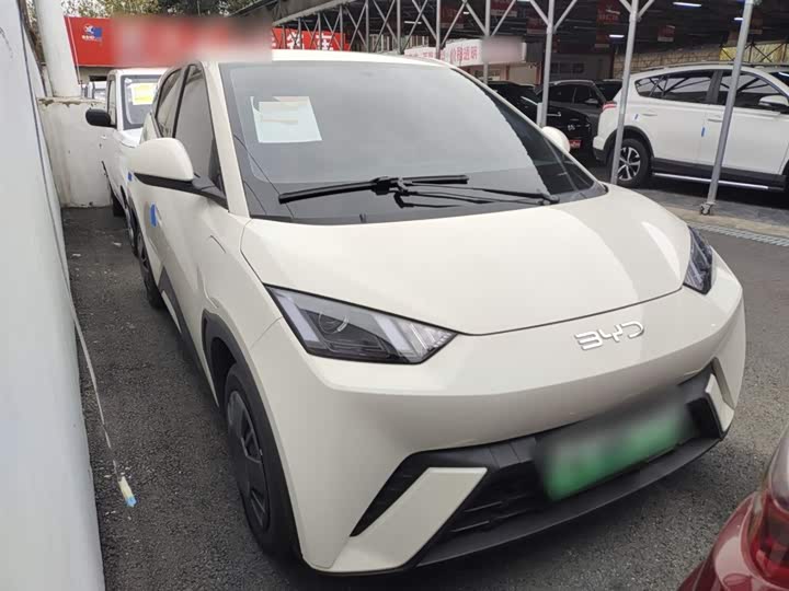 Фото 4 - BYD Seagull