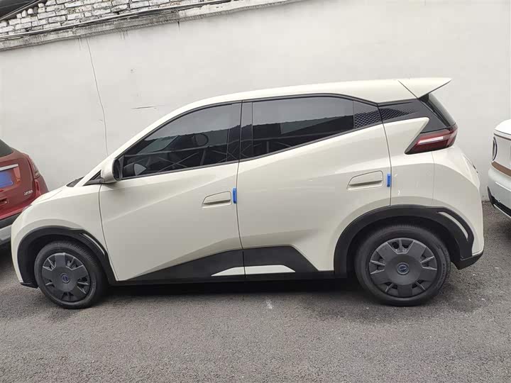 Фото 5 - BYD Seagull