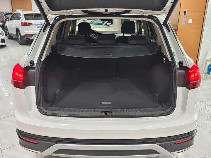 Фото 19 - Volkswagen Tayron