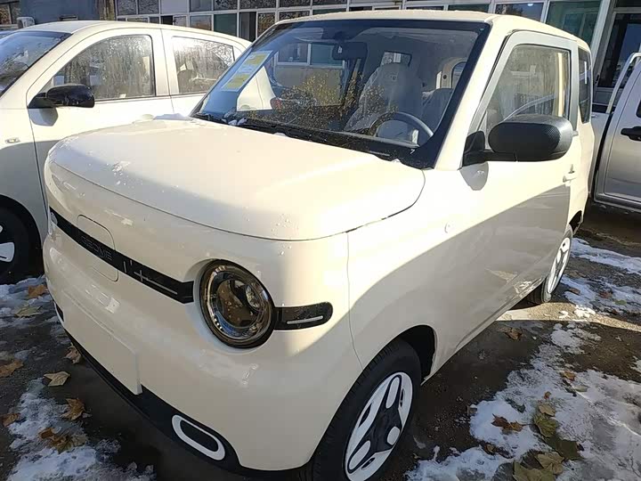 Фото 2 - Geely Galaxy Panda Mini