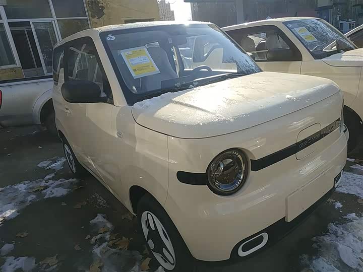 Фото 4 - Geely Galaxy Panda Mini
