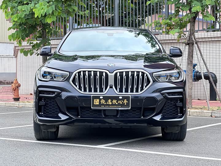 Фото 2 - BMW X6