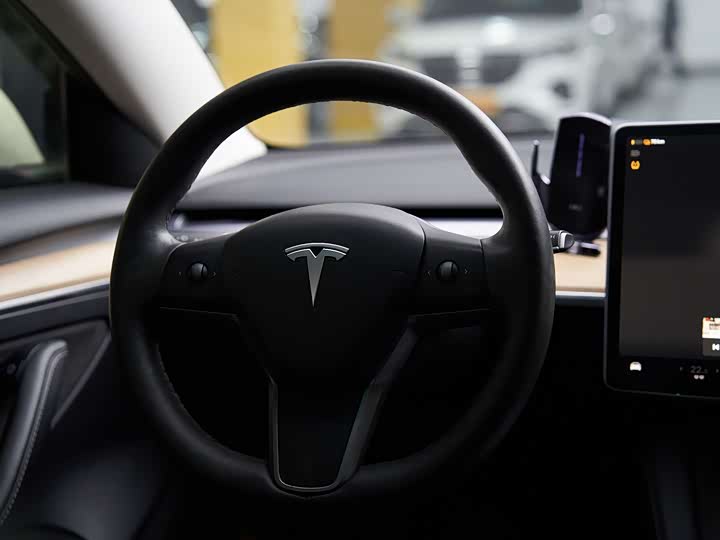 Фото 3 - Tesla Model 3