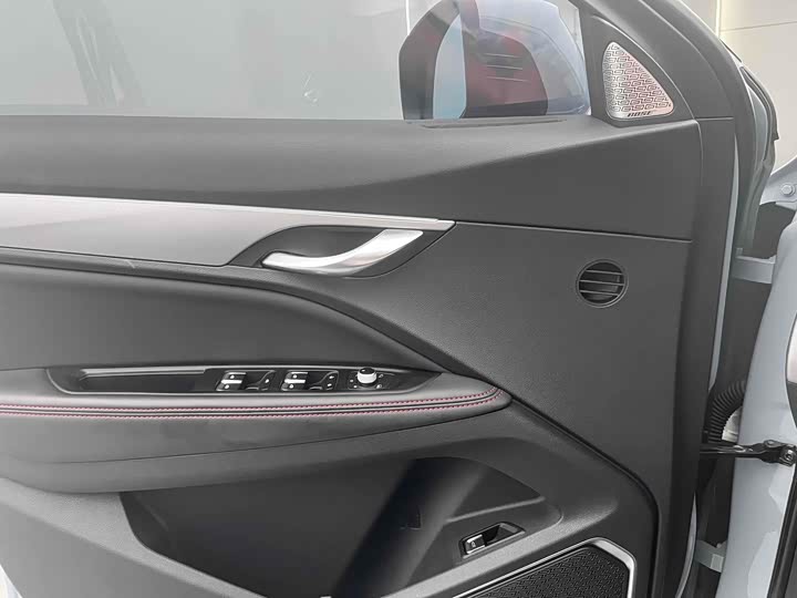 Фото 17 - Geely Tugella S