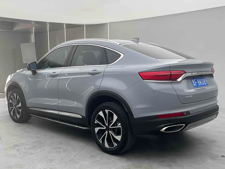 Фото 4 - Geely Tugella S