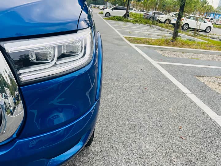 Фото 11 - Great Wall Pao