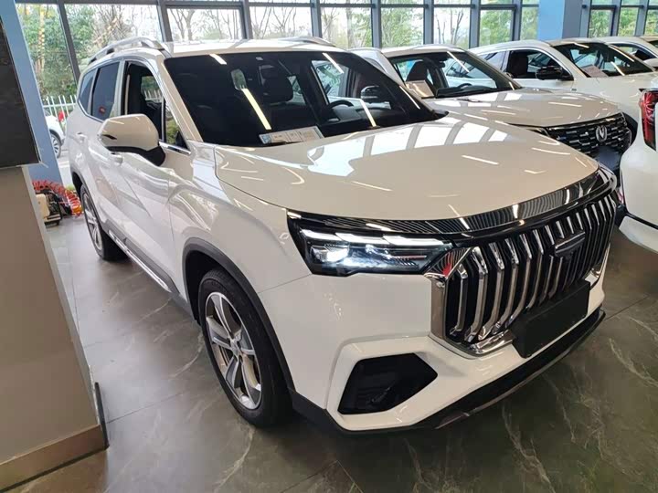 Фото 4 - Geely Okavango L