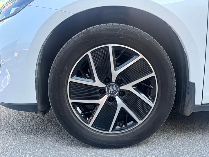 Фото 47 - BYD Qin L