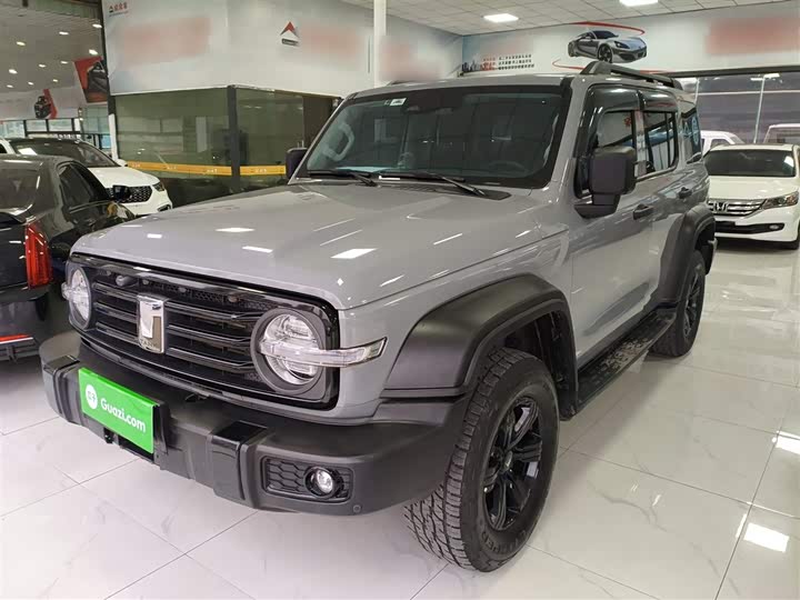 Фото 1 - Tank 300