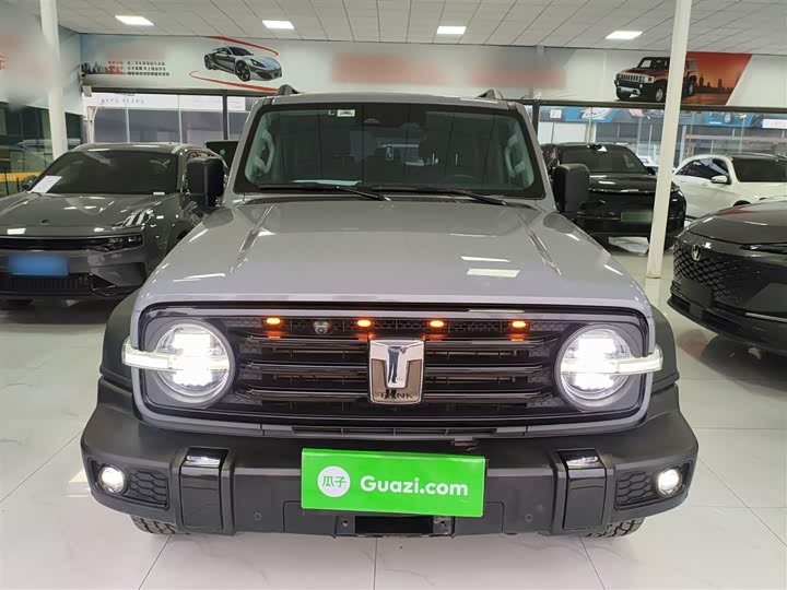 Фото 3 - Tank 300