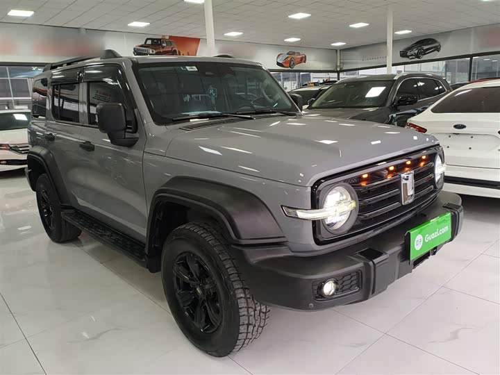 Фото 4 - Tank 300