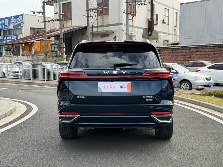 Фото 11 - Wey Lanshan