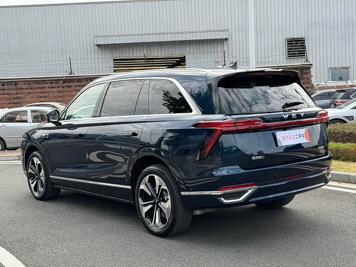 Фото 12 - Wey Lanshan