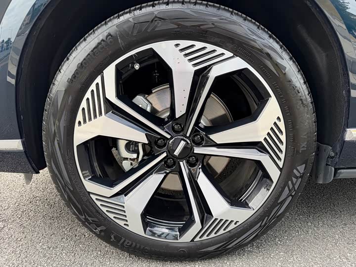 Фото 14 - Wey Lanshan