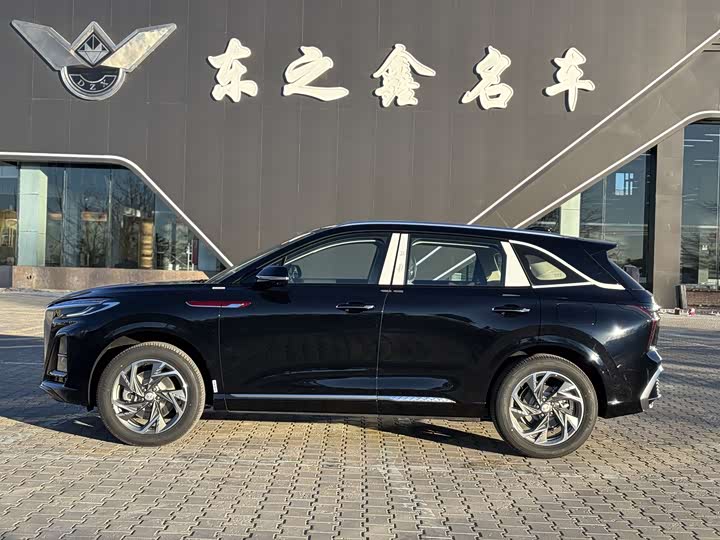 Фото 3 - Hongqi HS3 Hybrid