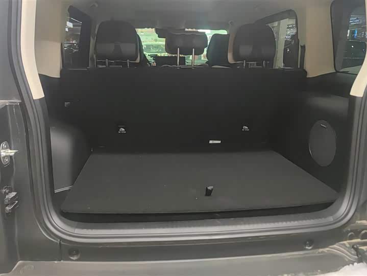 Фото 4 - Haval Raptor