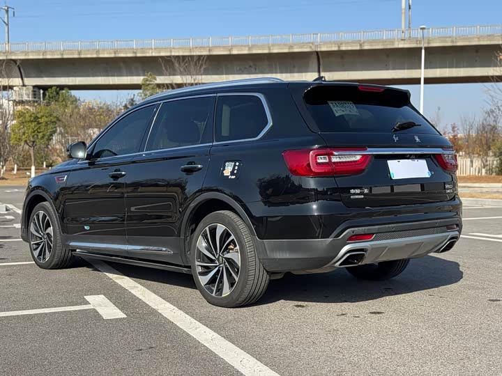 Фото 4 - Hongqi HS7