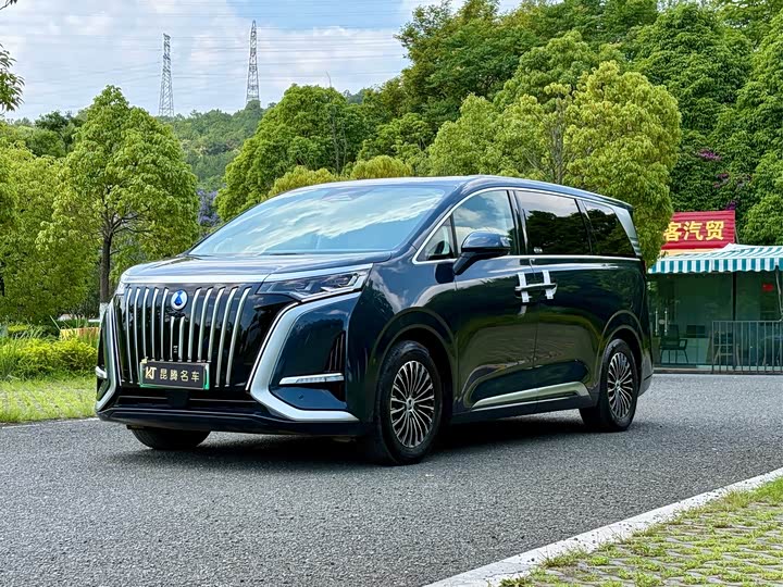 Фото 1 - Denza D9