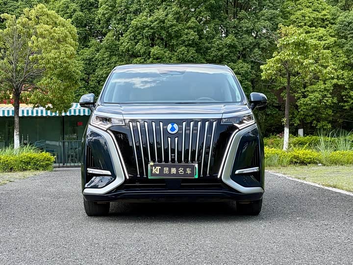 Фото 2 - Denza D9