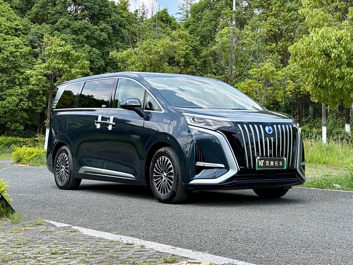 Фото 3 - Denza D9