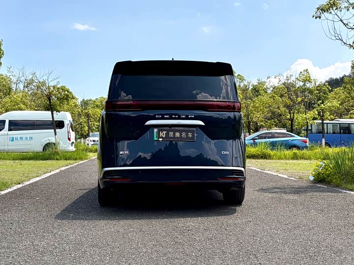 Фото 4 - Denza D9