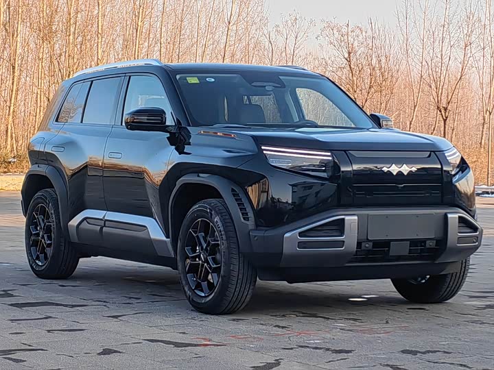 Фото 8 - BYD FangChengBao Titanium 3 (Tai 3)