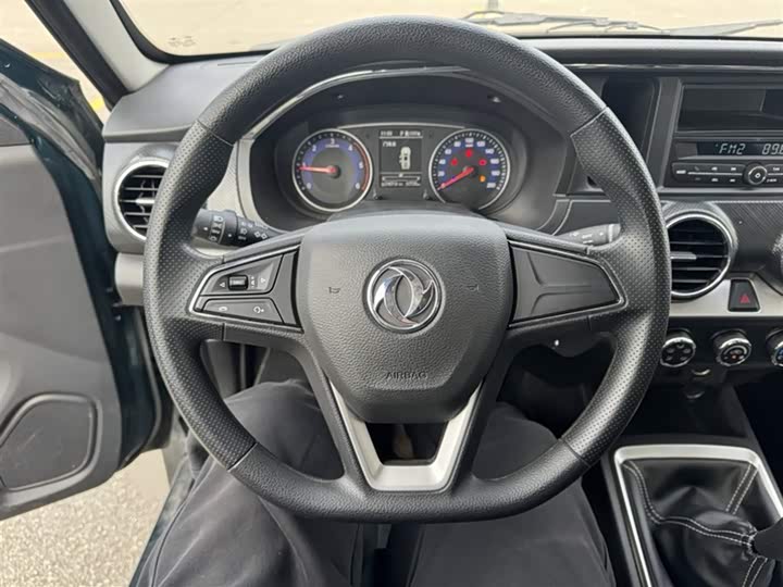 Фото 14 - Dongfeng Rich