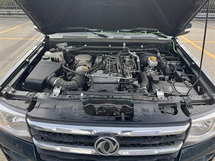 Фото 4 - Dongfeng Rich