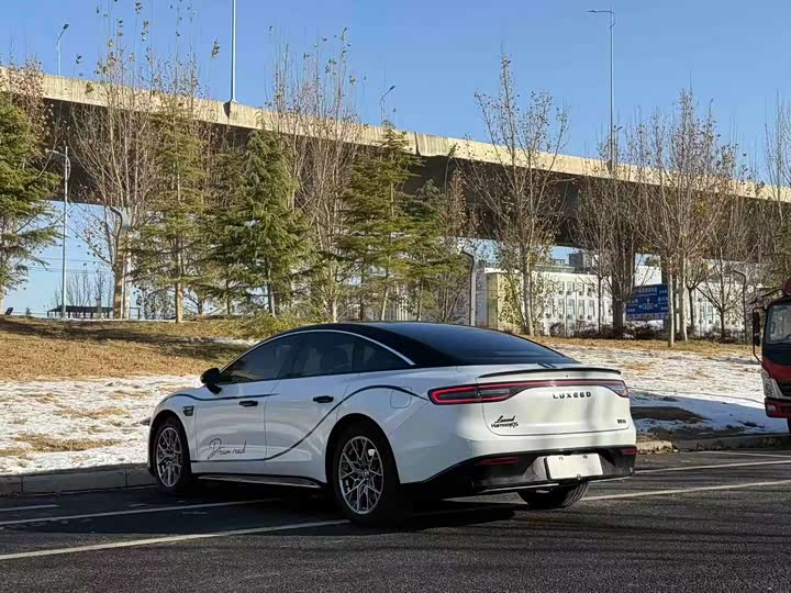 Фото 7 - Luxeed S7