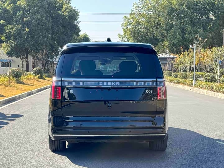 Фото 5 - Zeekr 009