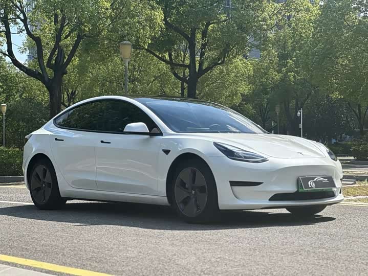 Фото 3 - Tesla Model 3