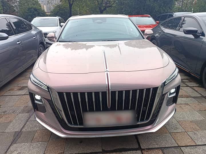 Фото 3 - Hongqi H5