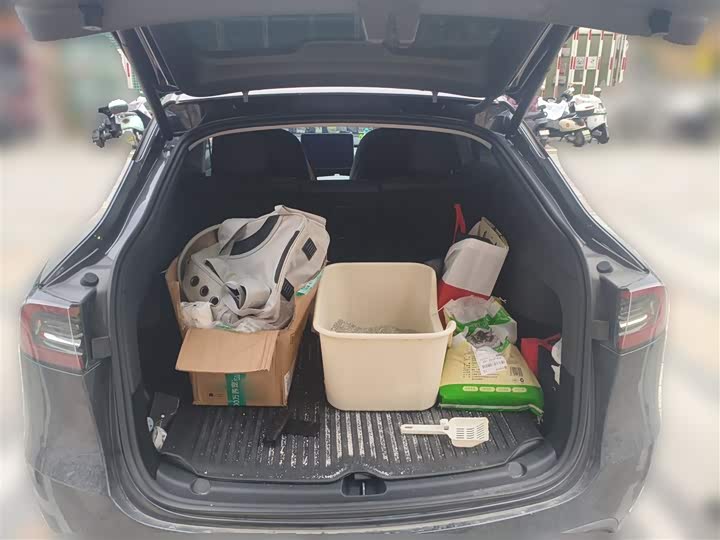 Фото 10 - Tesla Model Y