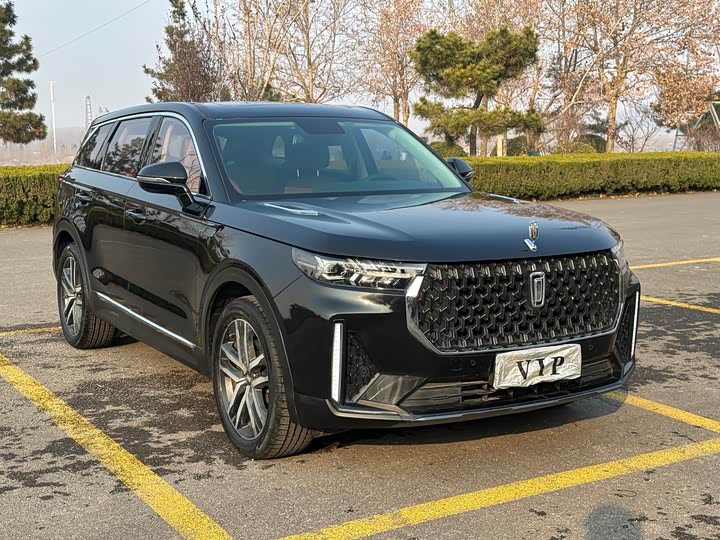 Фото 1 - Bestune T99